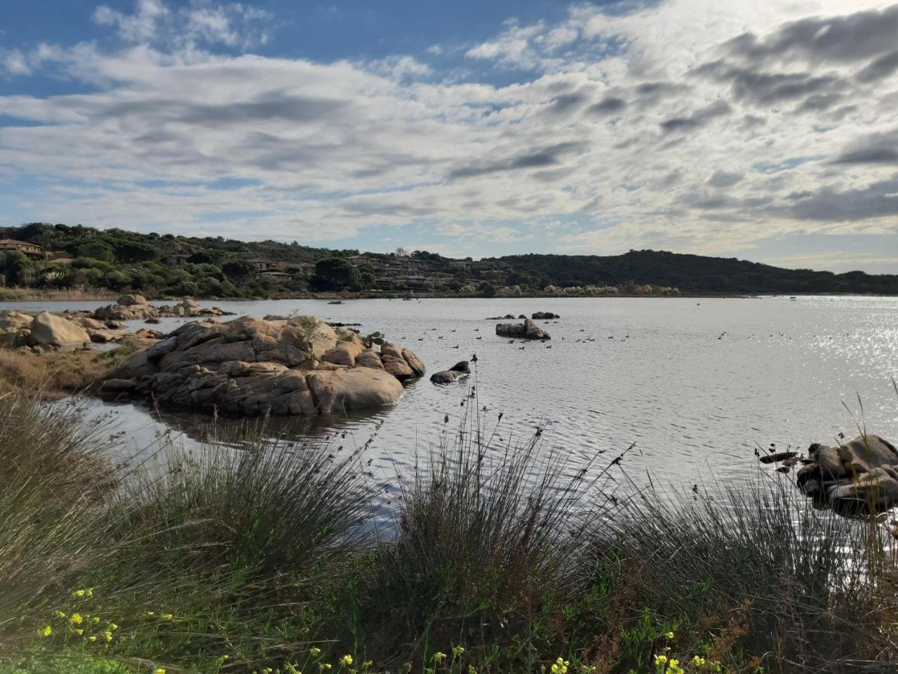 Residence Porto Coda Cavallo San Teodoro  Bagian luar foto